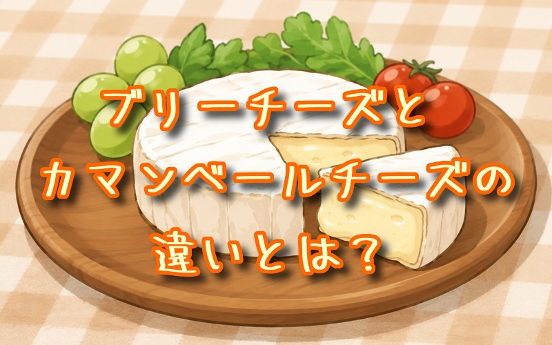 ブリーチーズとカマンベールチーズの違いとは？