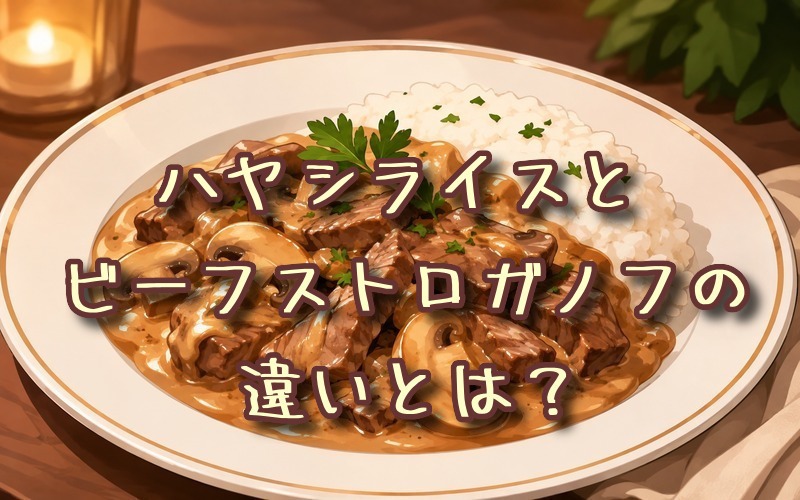 ハヤシライスとビーフストロガノフの違いとは？